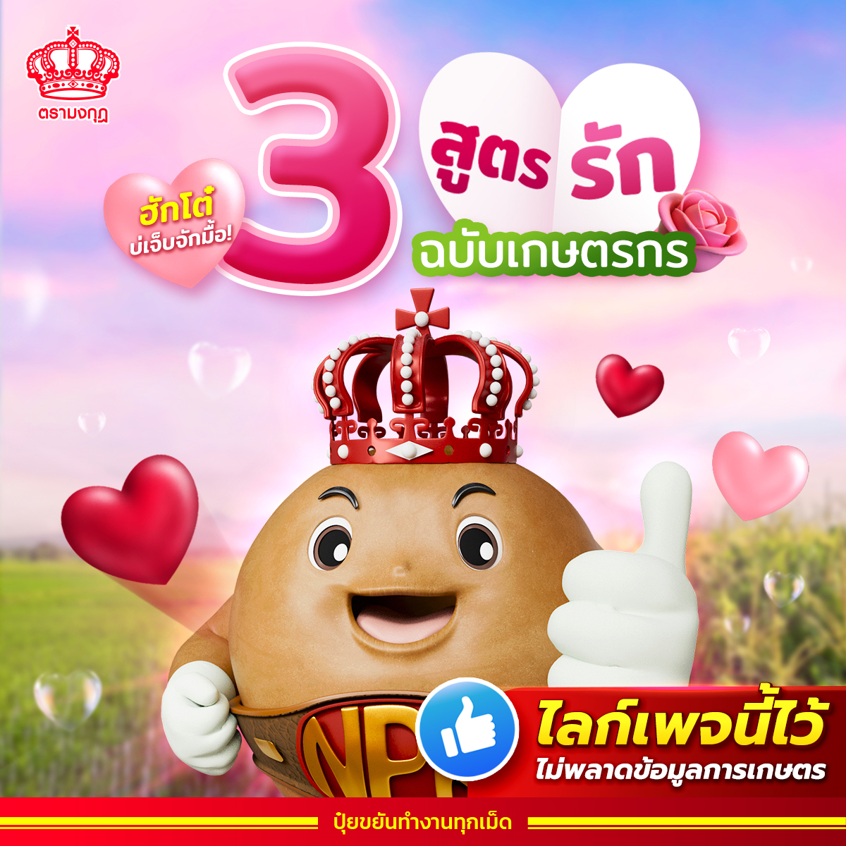 ปุ๋ยตรามงกุฎ Facebook ad