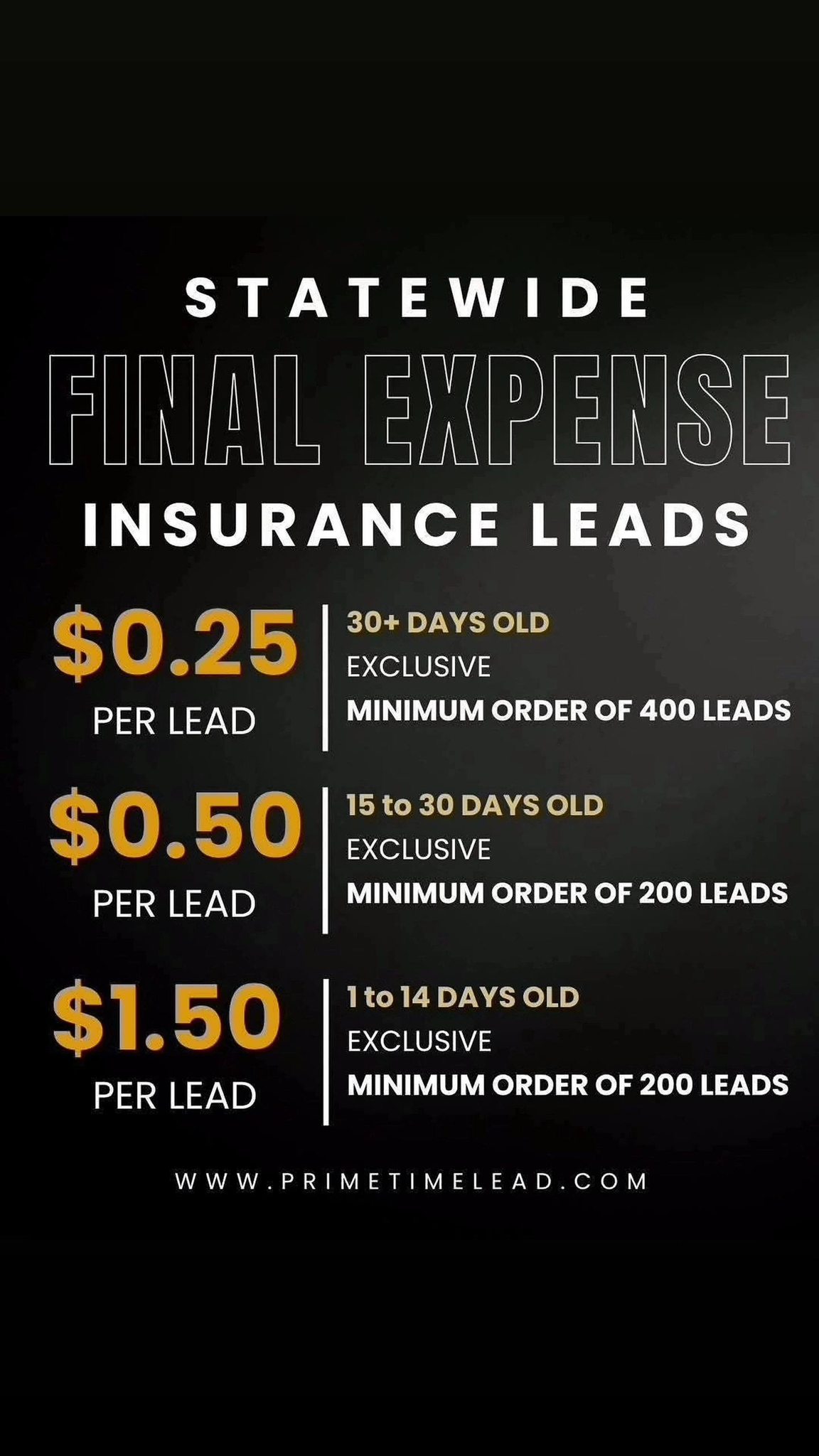 PrimeTime Leads Page Facebook ad