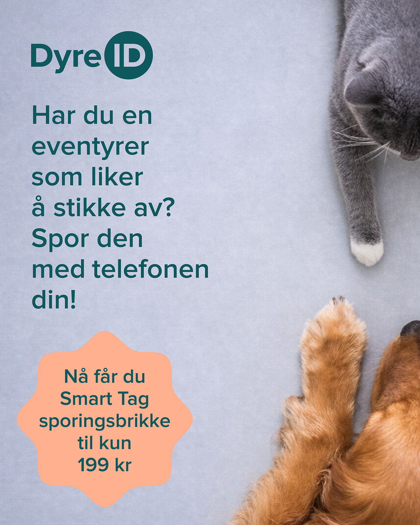 DyreID Facebook ad from May 21, 2026