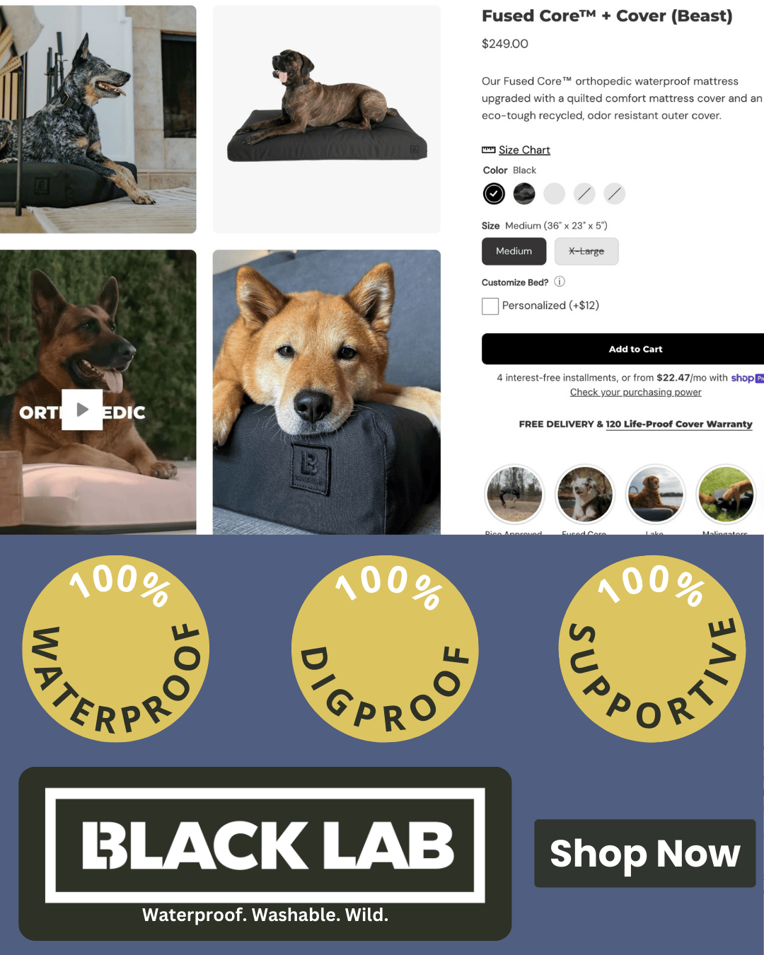 Black Lab Brands Facebook ad