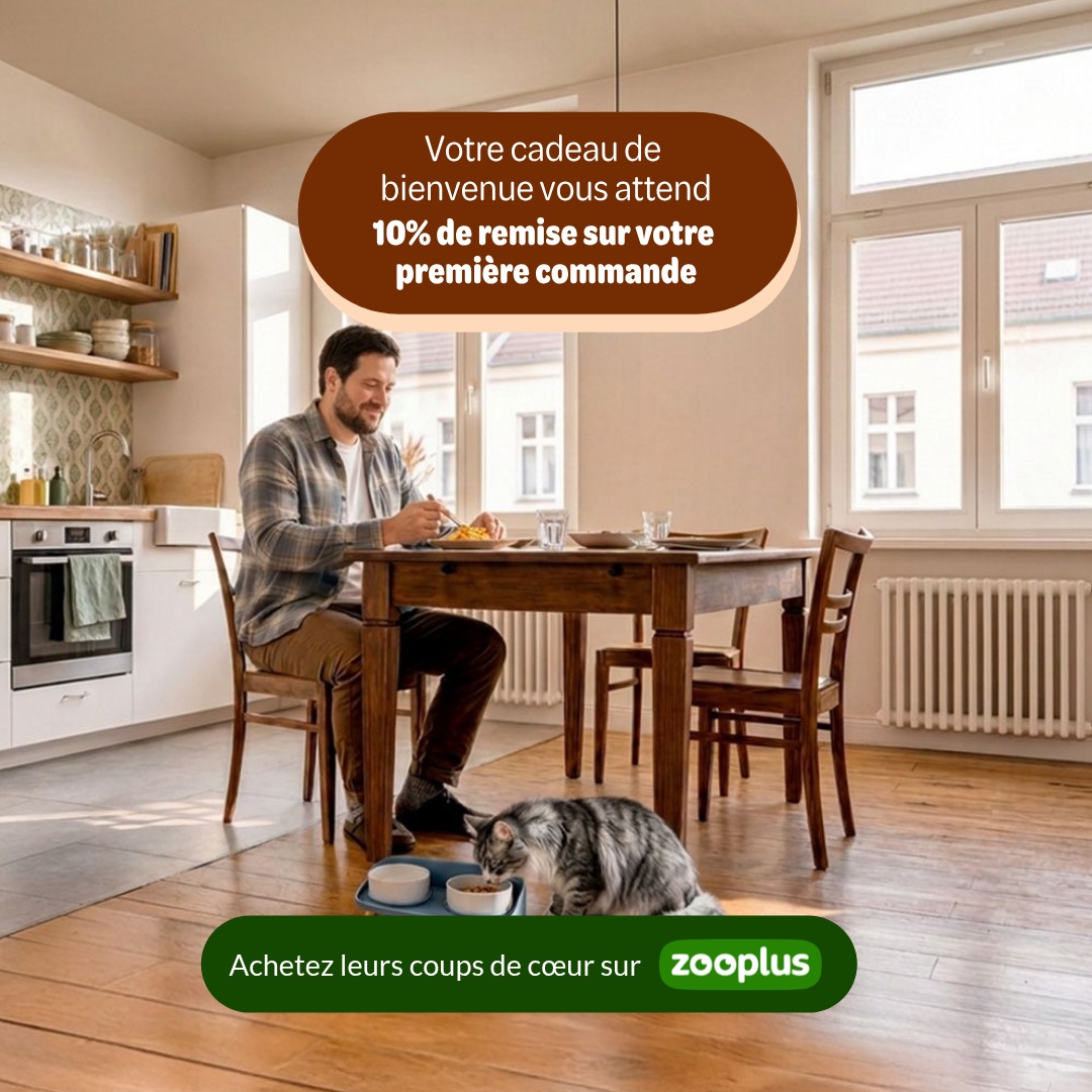 zooplus Facebook ad: Nourriture et accessoires pour animaux