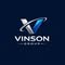 Vinson group