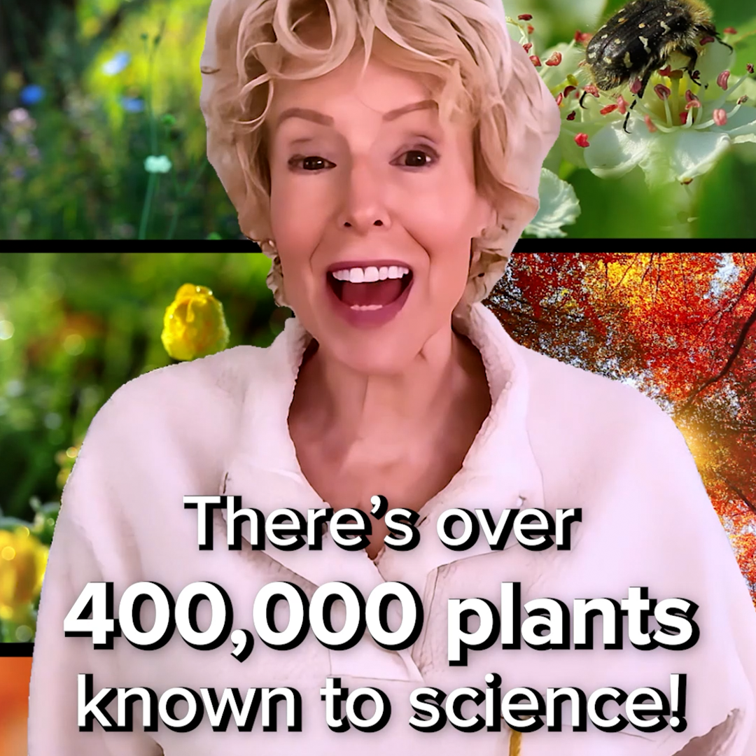 jenniferthehappymaverick Facebook ad