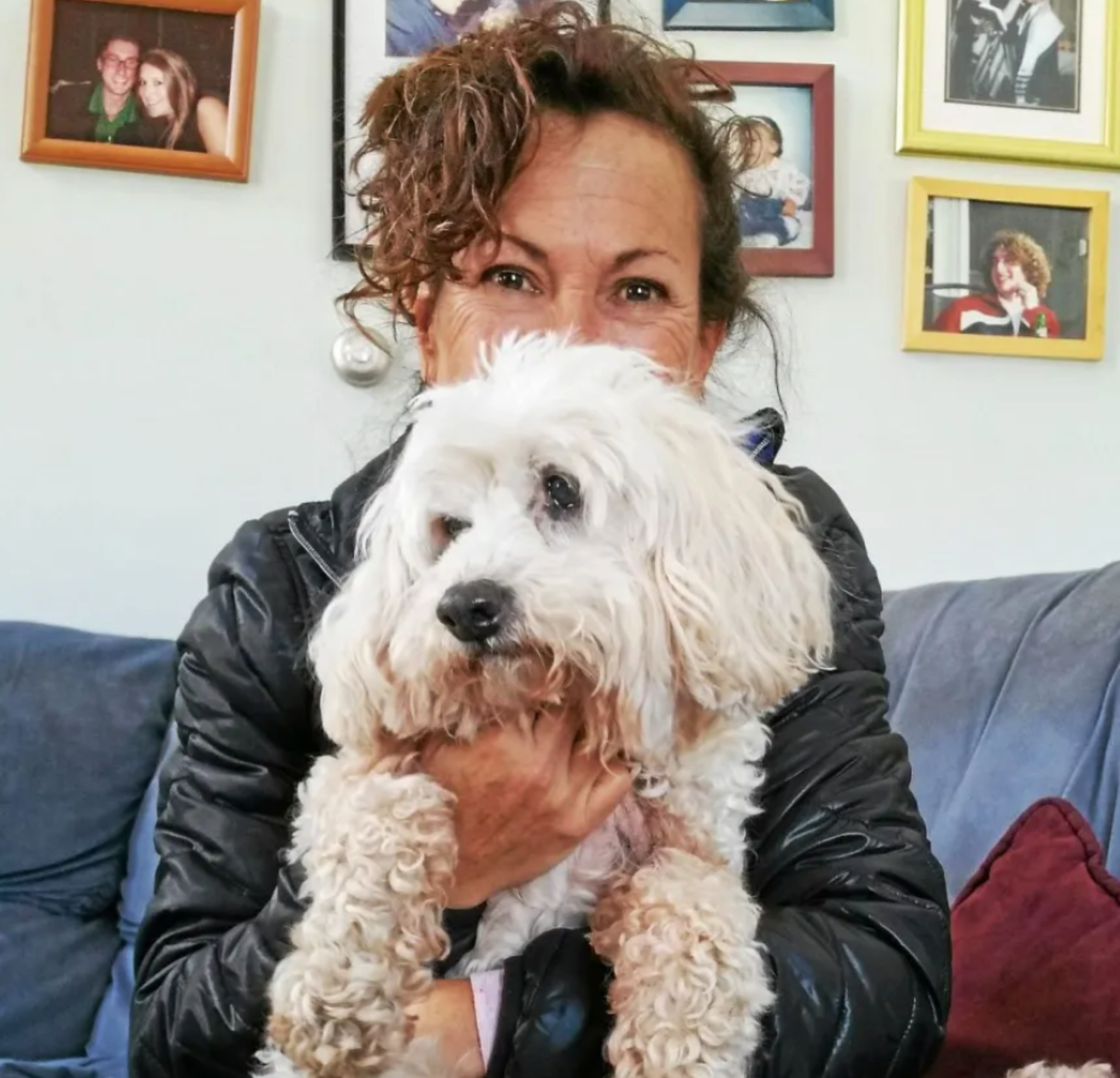 Guardian Pets Facebook ad