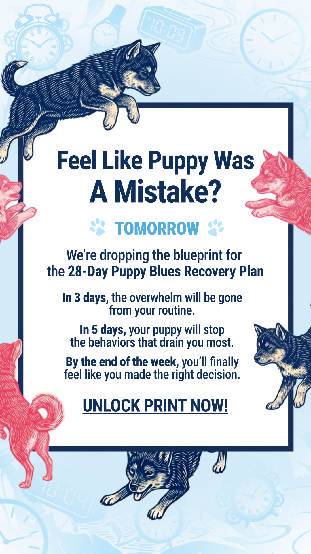 Woofz - Puppy Training Facebook ad