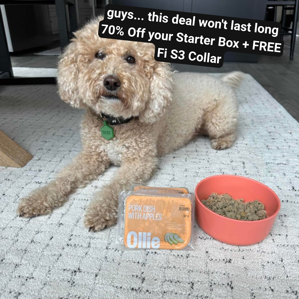 Abby Power Facebook ad