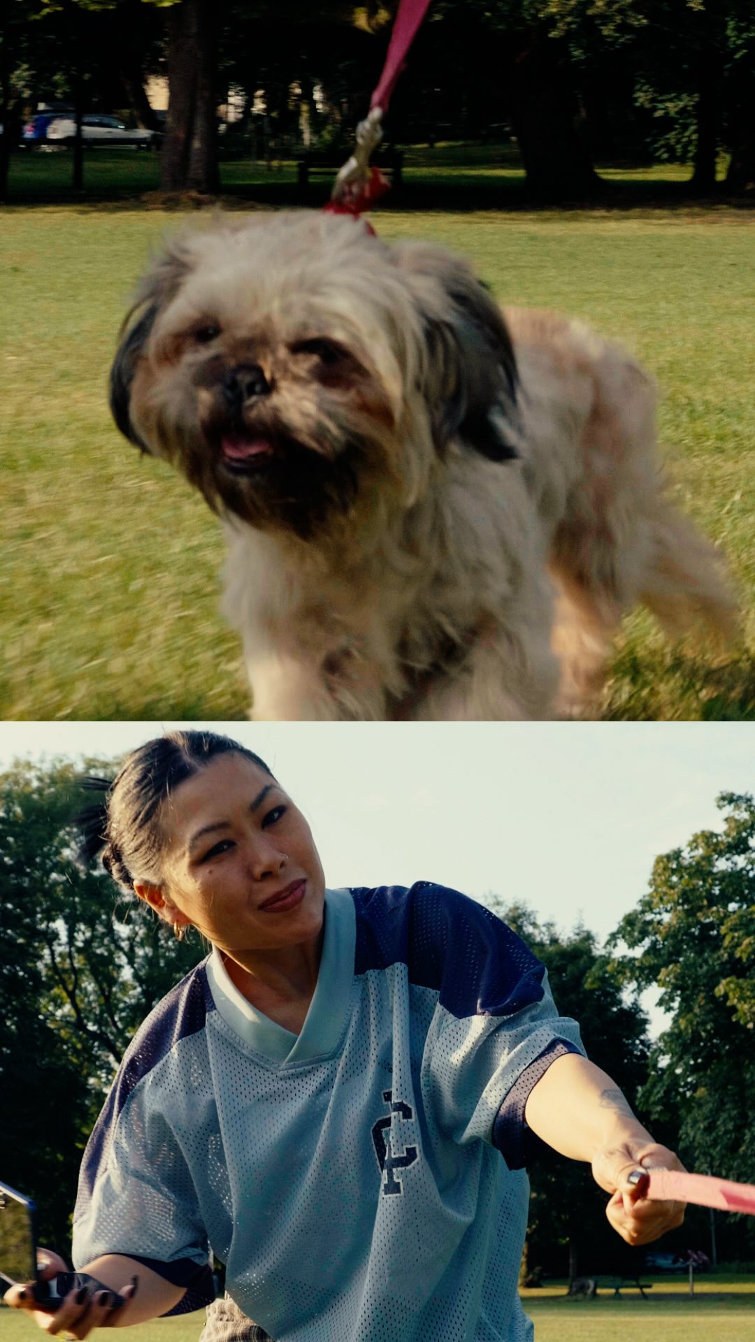 Samsung Facebook ad: There’s a moment when you lose a dog…