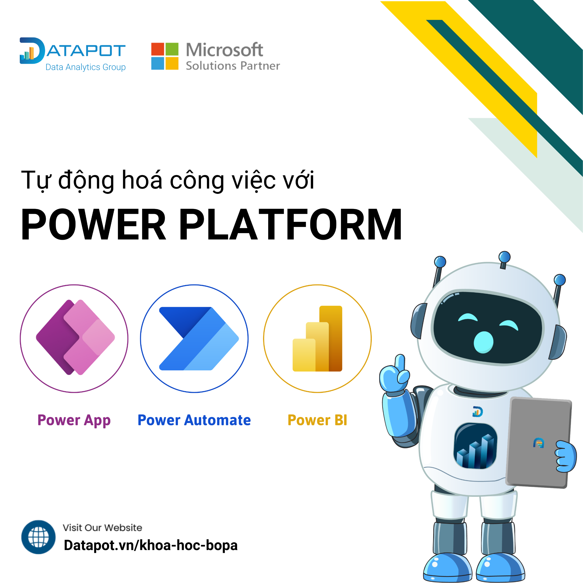 Datapot Analytics Training Facebook ad