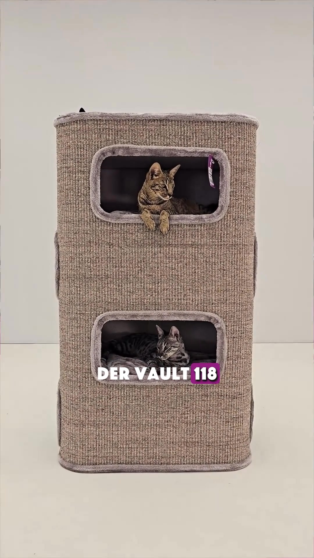 petrebels.com Facebook ad: Kompakt & komplett