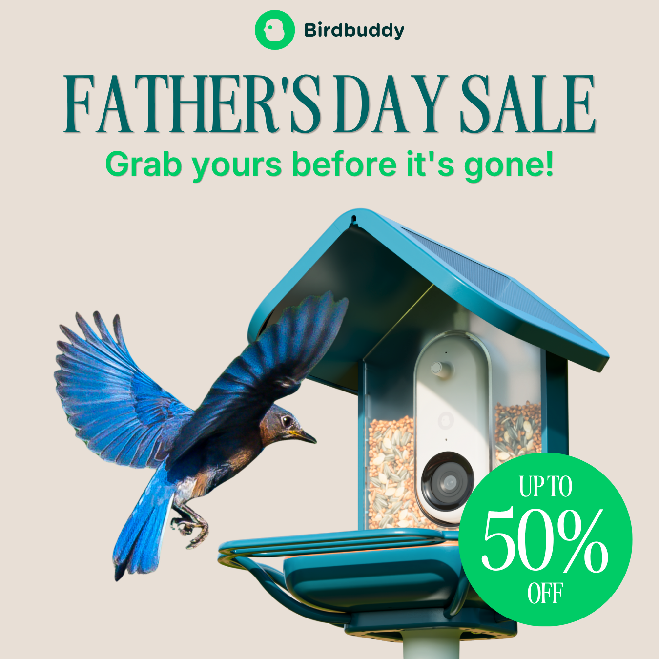 Birdbuddy Facebook ad