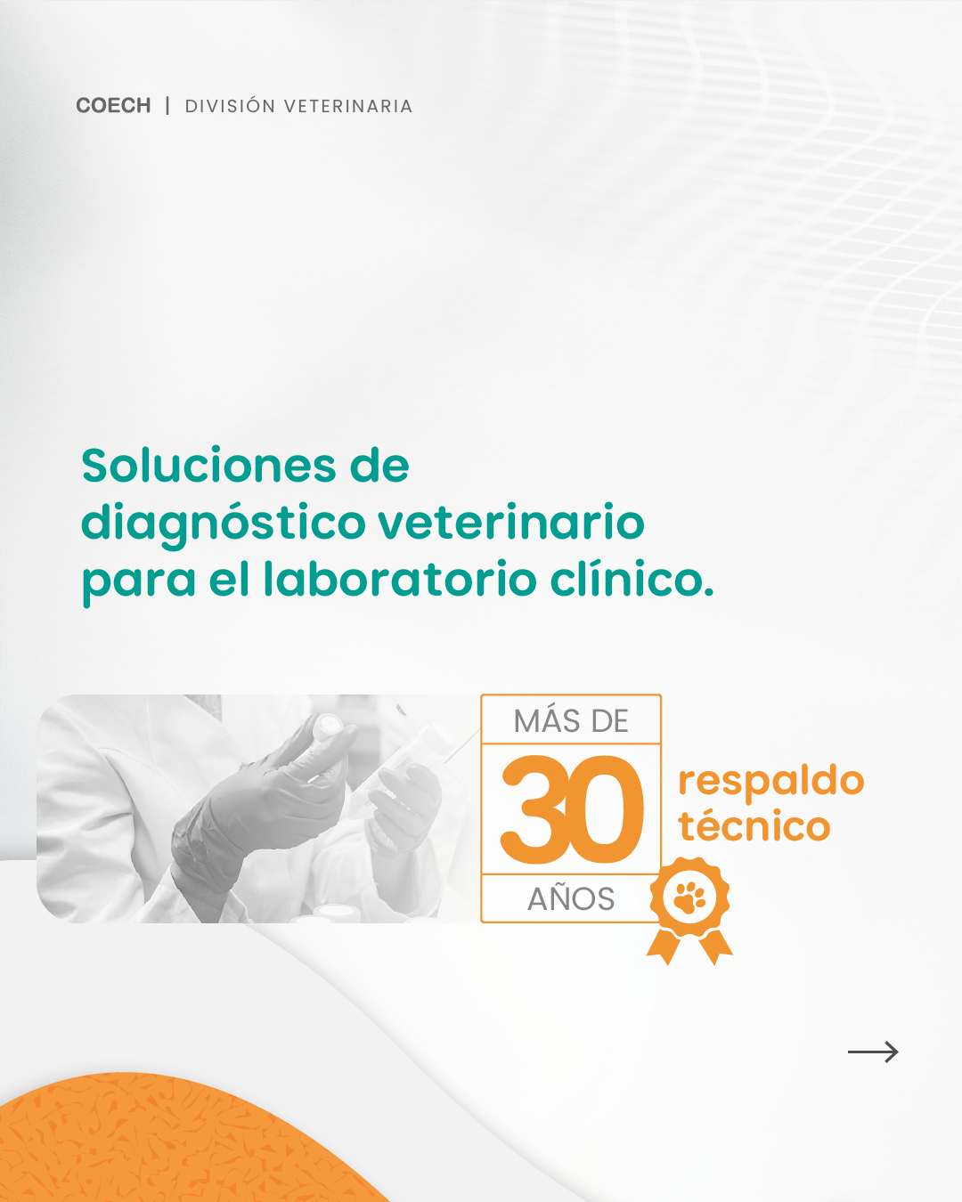 Coech.DV Facebook ad: El diagnóstico veterinario no es una tendencia.