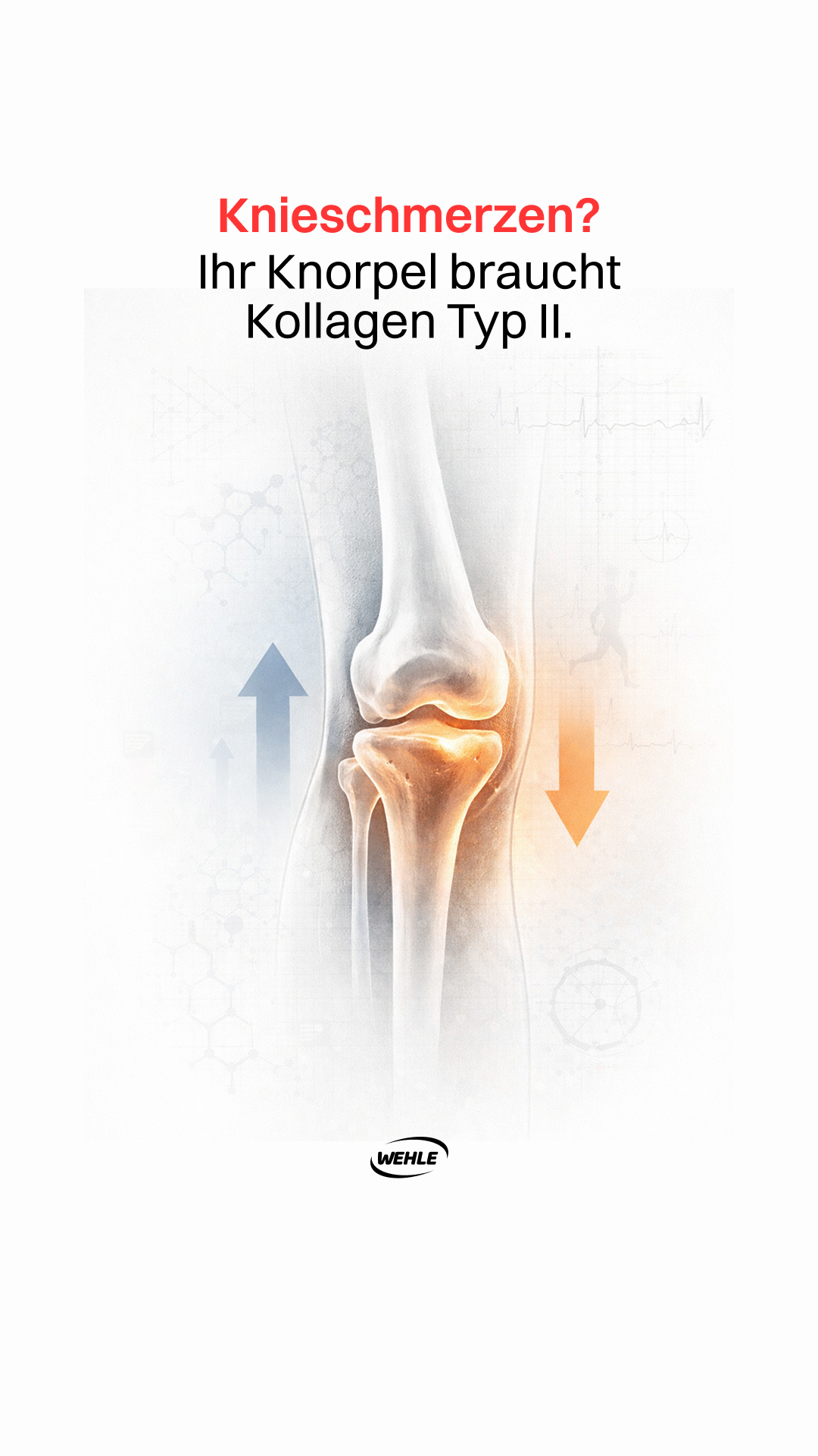 Sportnahrung Wehle Facebook ad