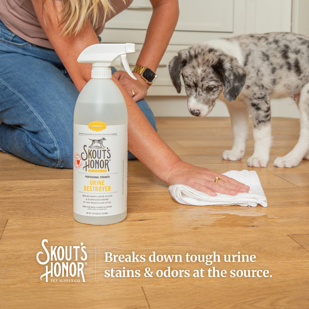 Skout's Honor Facebook ad