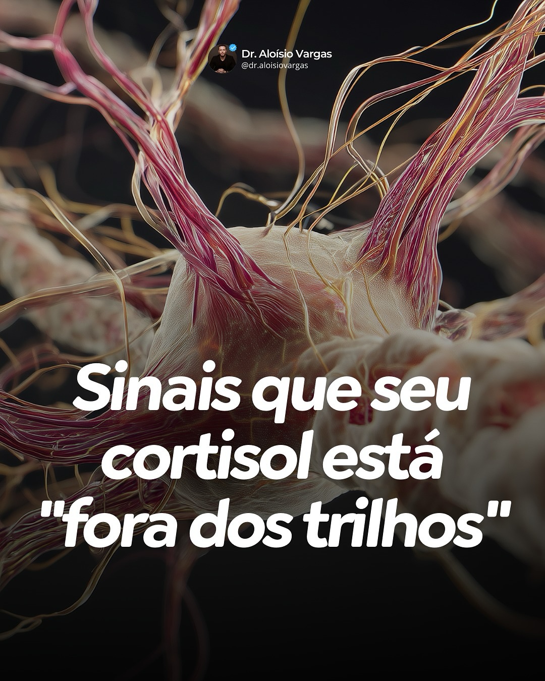 Aloísio Vargas Facebook ad
