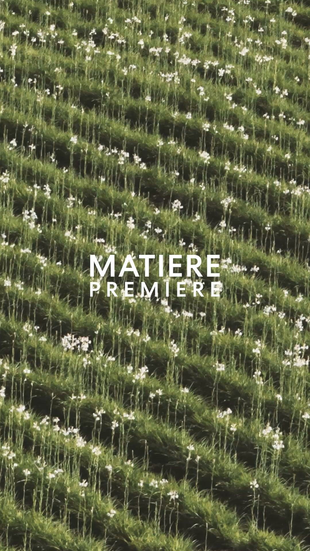 Matiere Premiere Parfums Facebook ad: The smell of a tuberose field.