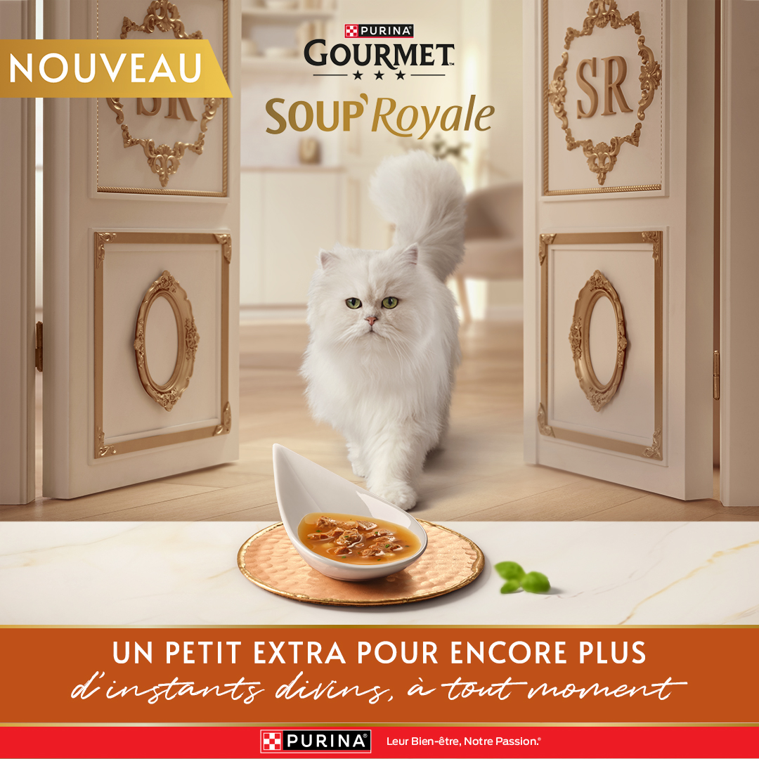 Purina France Facebook ad