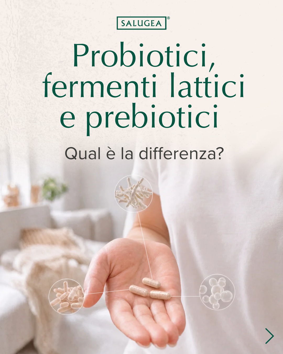 Salugea Facebook ad: Probiotici, fermenti lattici e prebiotici vengono spesso…