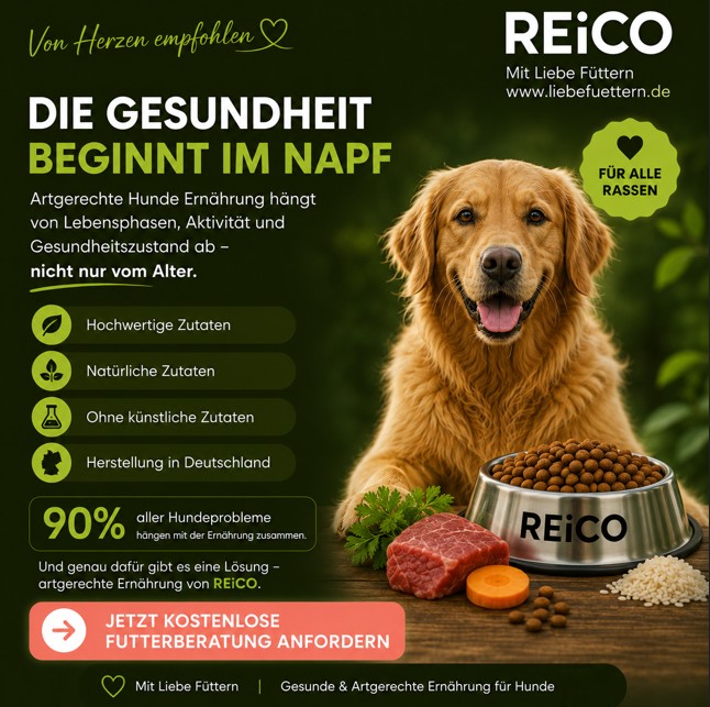 Reico Partner Liebe Füttern Facebook ad: REiCO Futterberatung