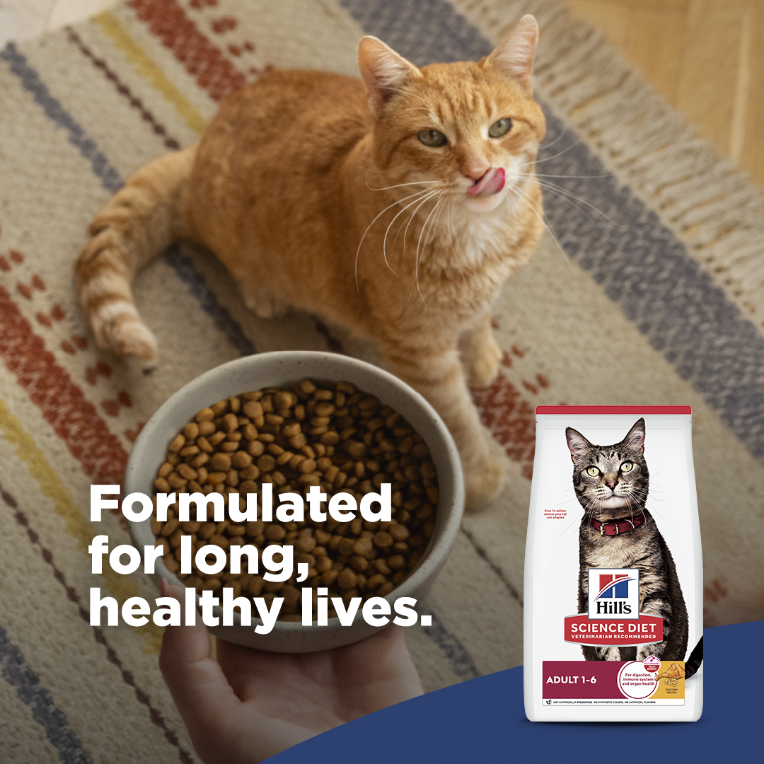 Hill’s Pet Nutrition Facebook ad