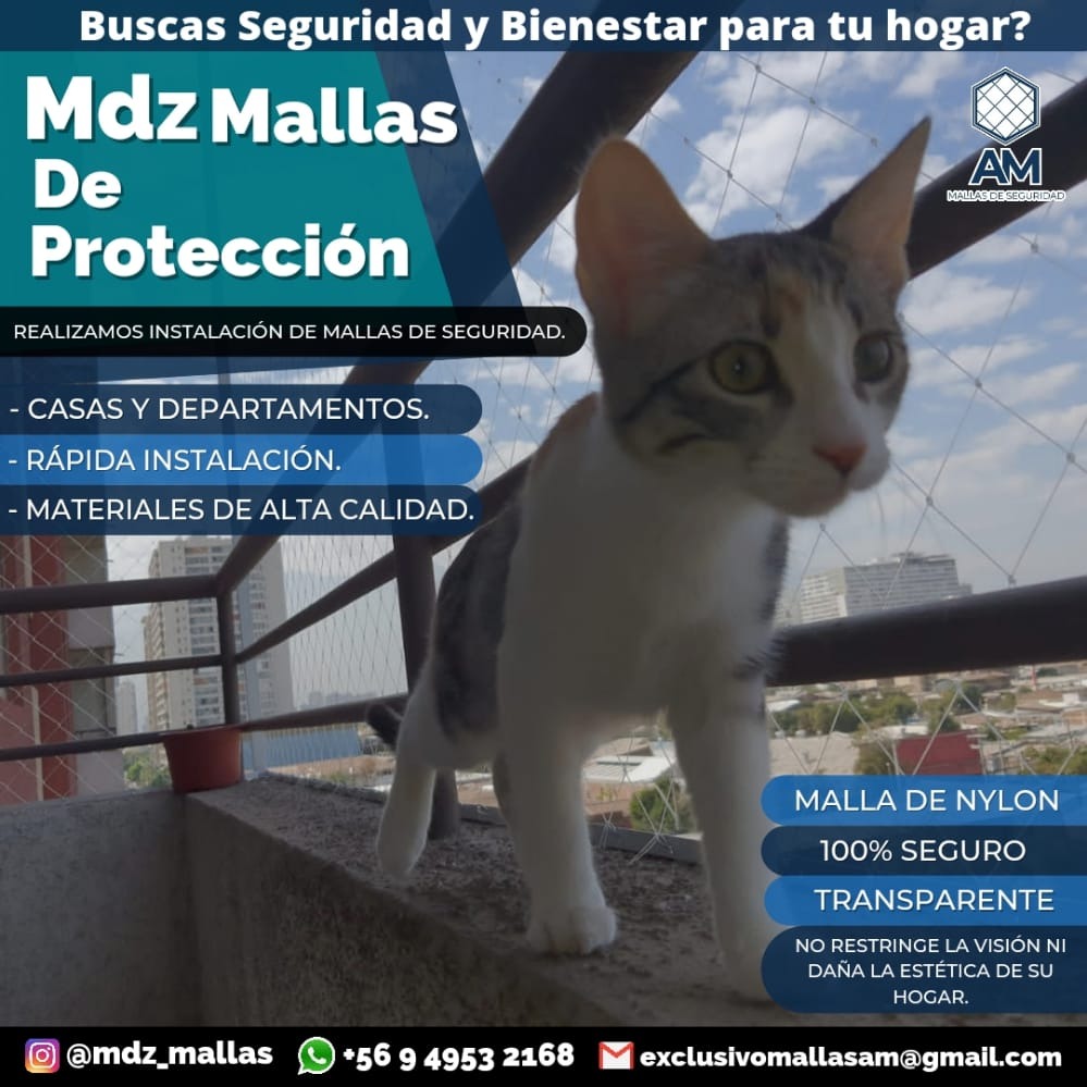 AM Mallas Facebook ad: ¡Logra proteger tus hijos y mascotas con las…