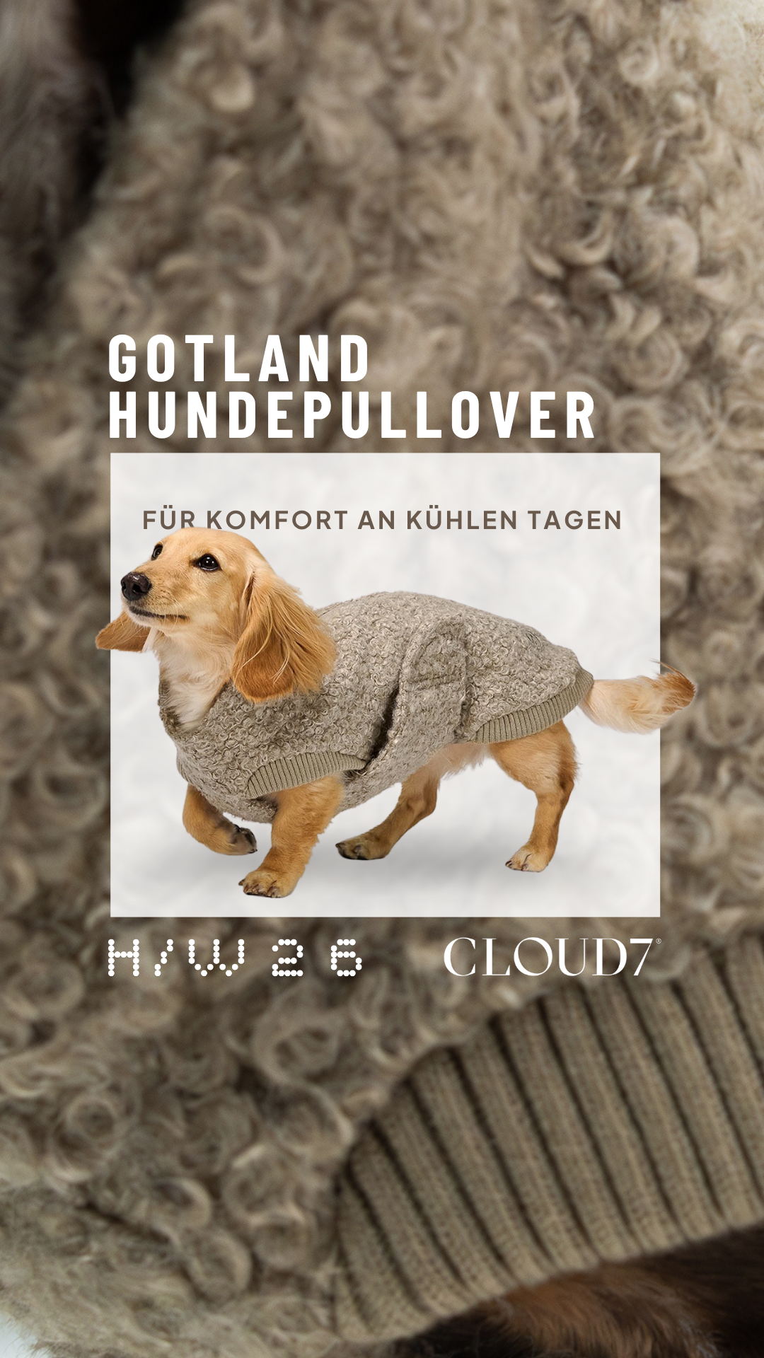 Cloud7 Facebook ad: CLOUD7 | Herbst-Winter 2026