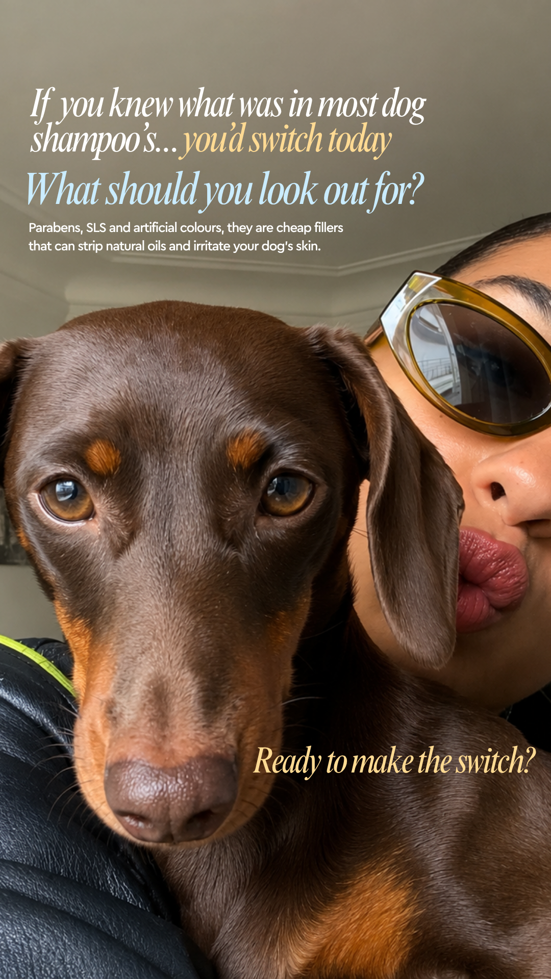 Pawtrait Dog Salon Facebook ad