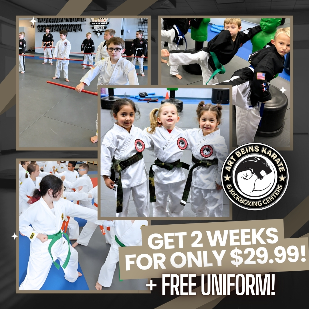 Art Beins Karate Facebook ad