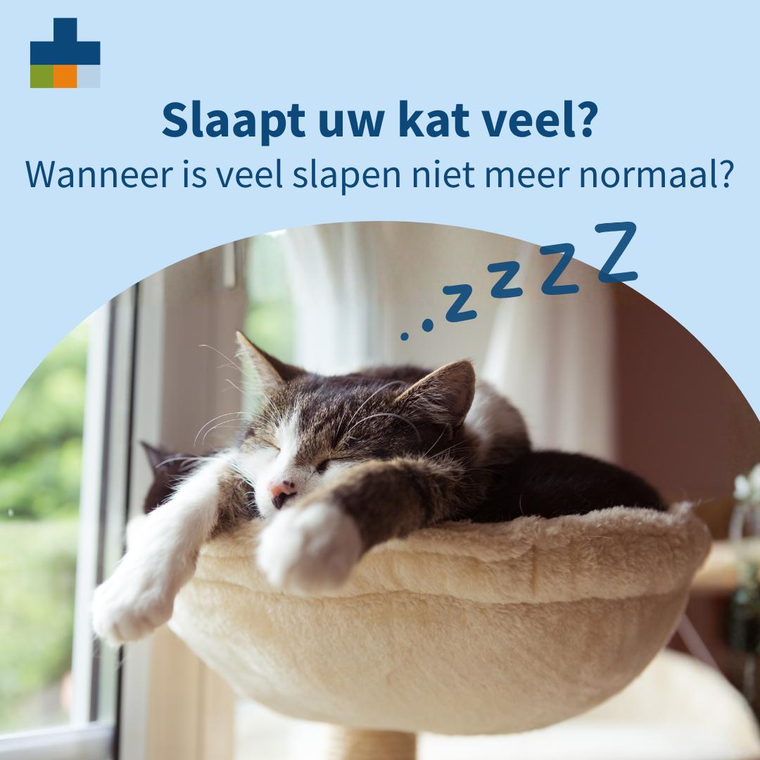 Medpets Facebook ad