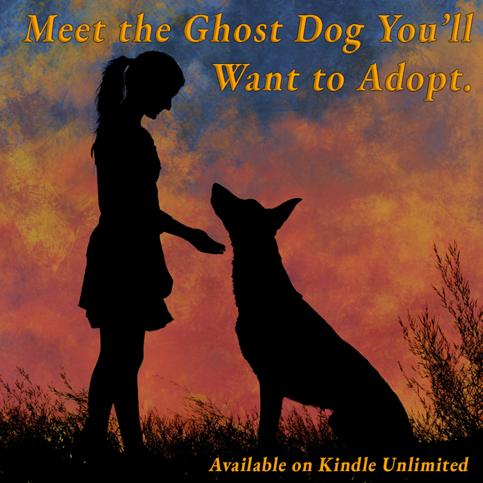 Jen Bair - Author Facebook ad