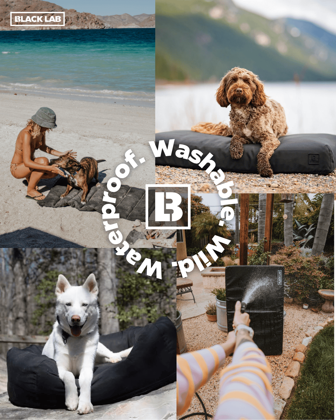 Black Lab Brands Facebook ad