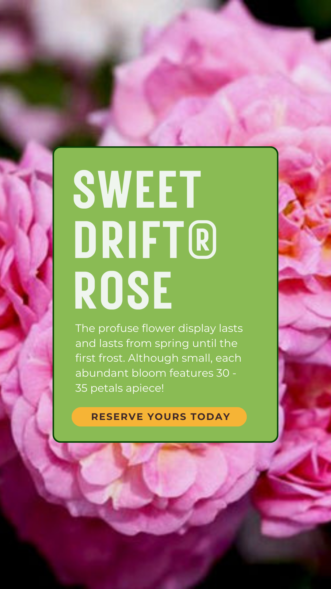 Nature Hills Nursery Facebook ad