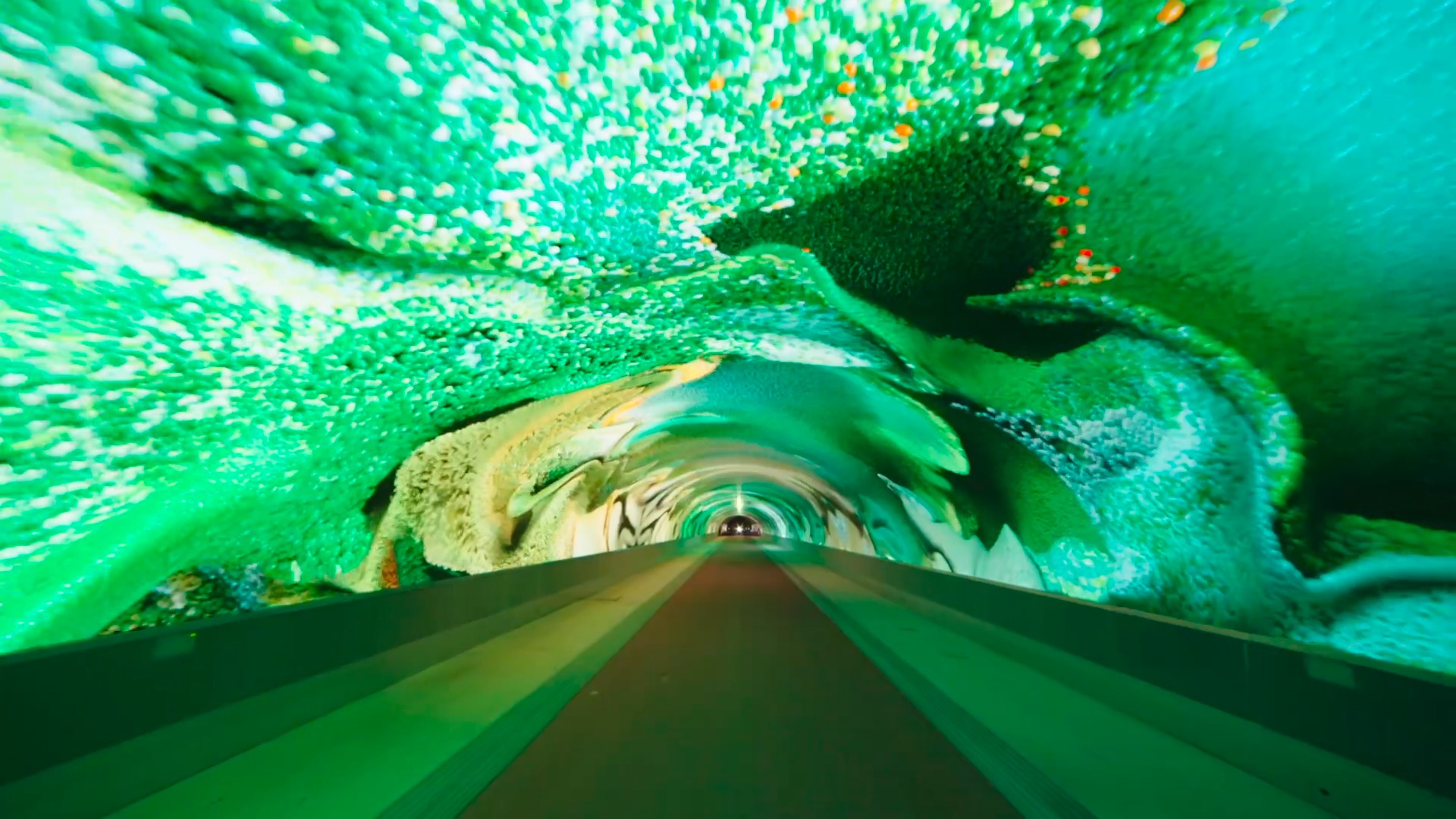 Friuli Venezia Giulia Turismo Facebook ad: La più grande galleria digitale d’Europa è in…