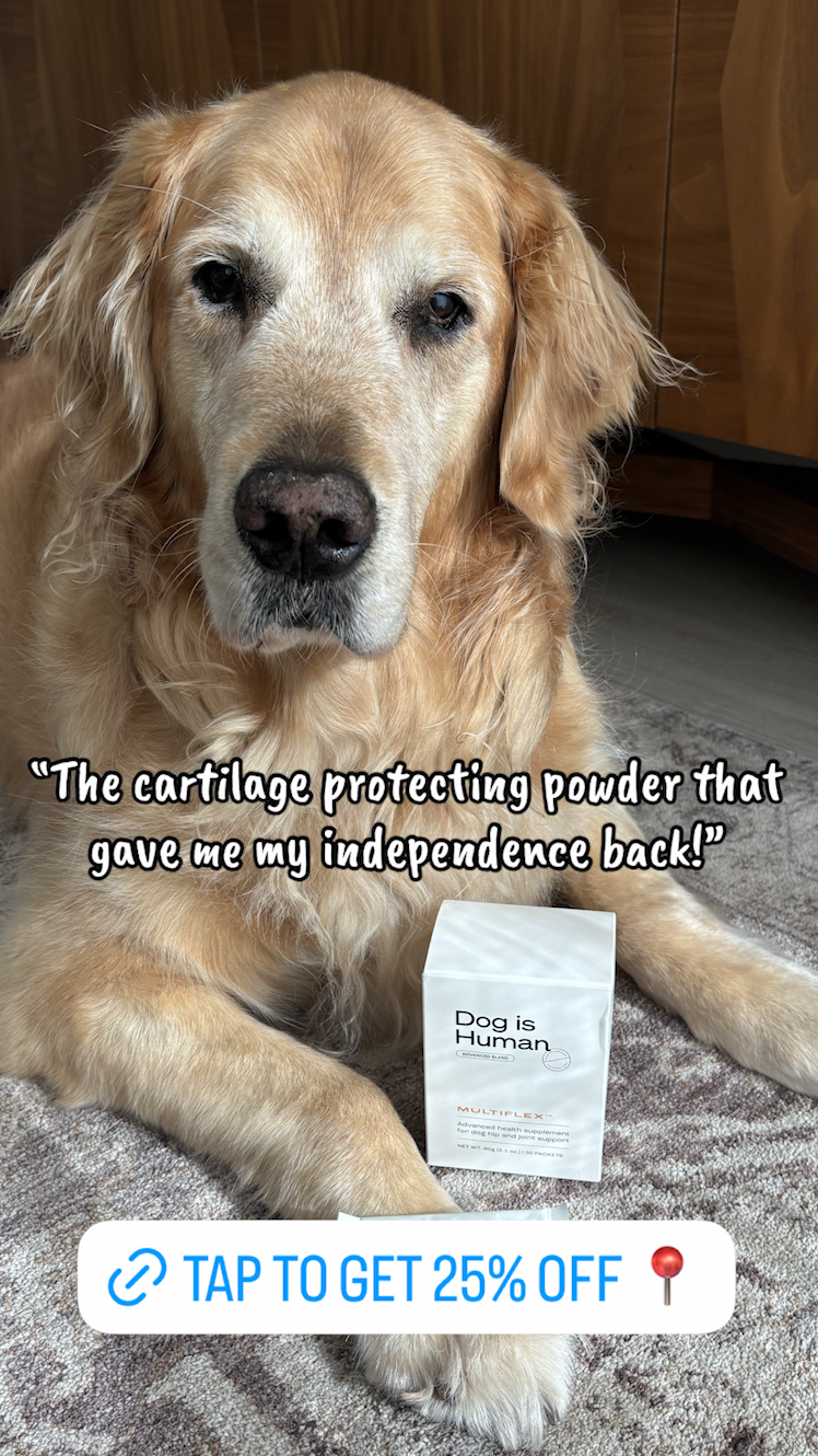 Dog is Human Facebook ad