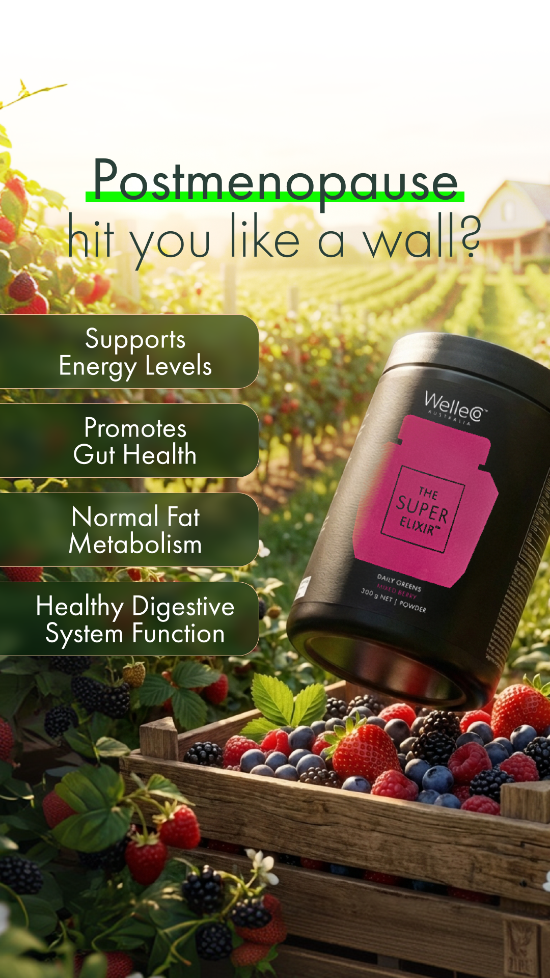 WelleCo Facebook ad