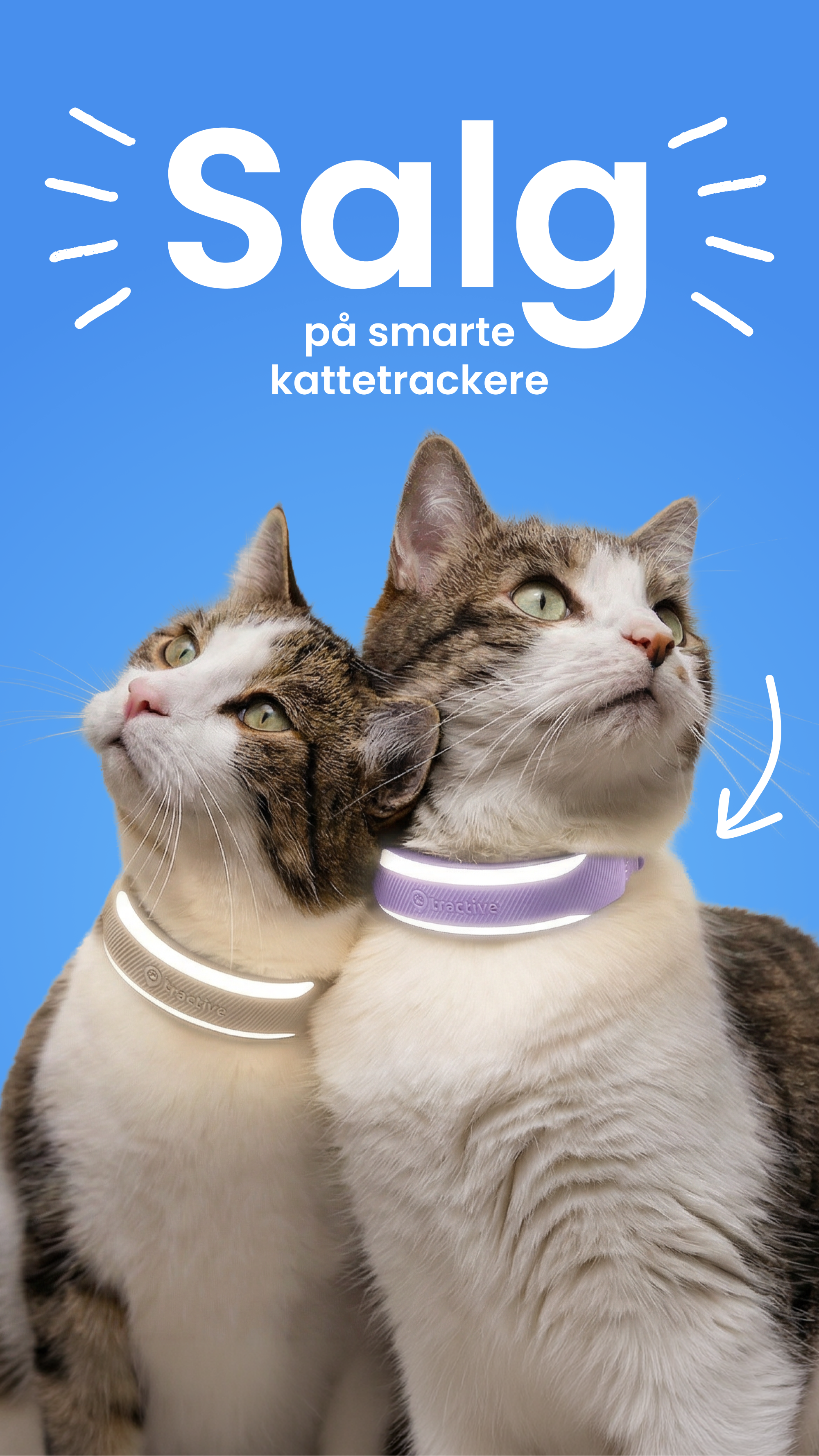 Tractive Facebook ad