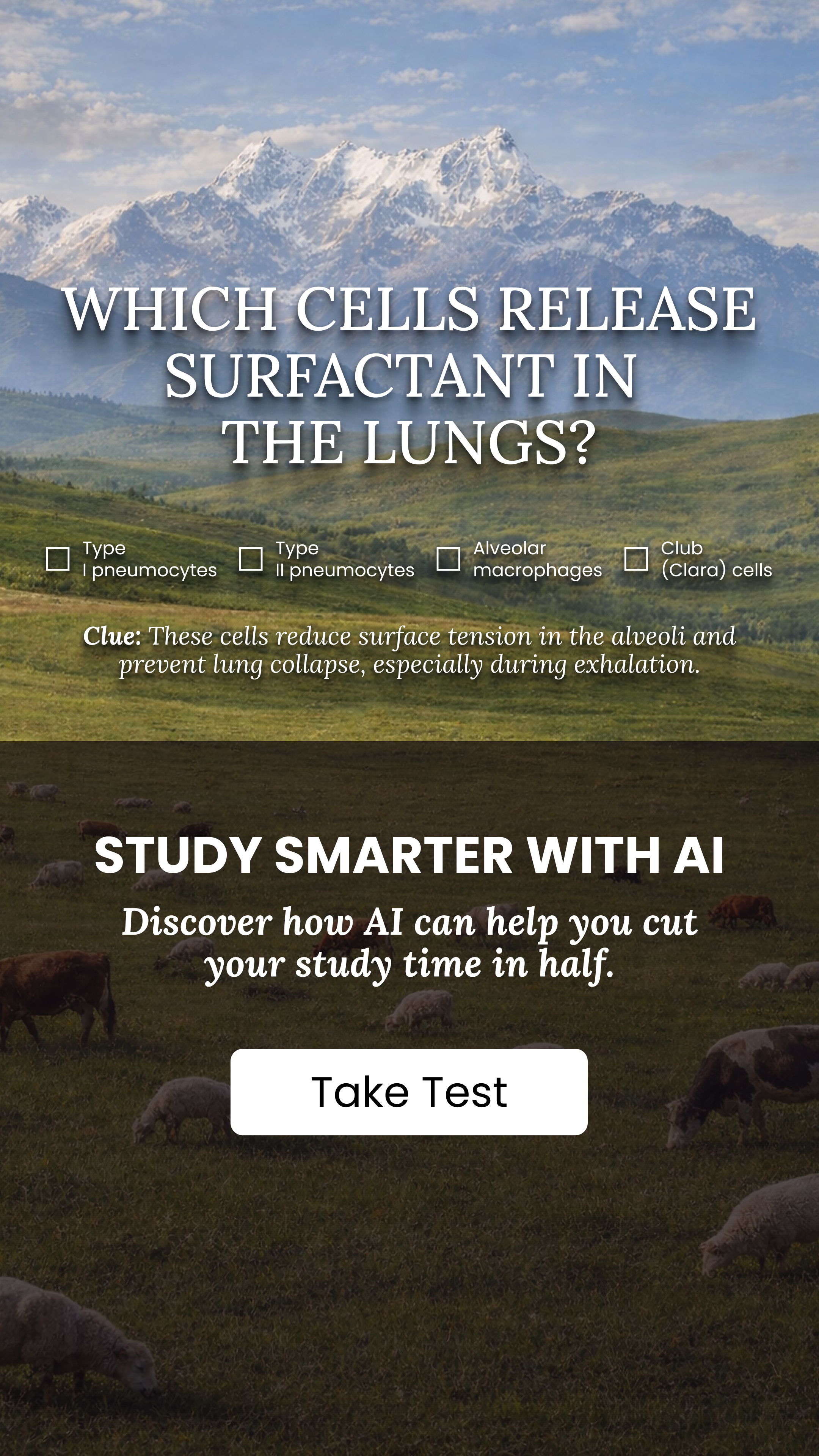 Justdone: All-in-one AI tool  Facebook ad