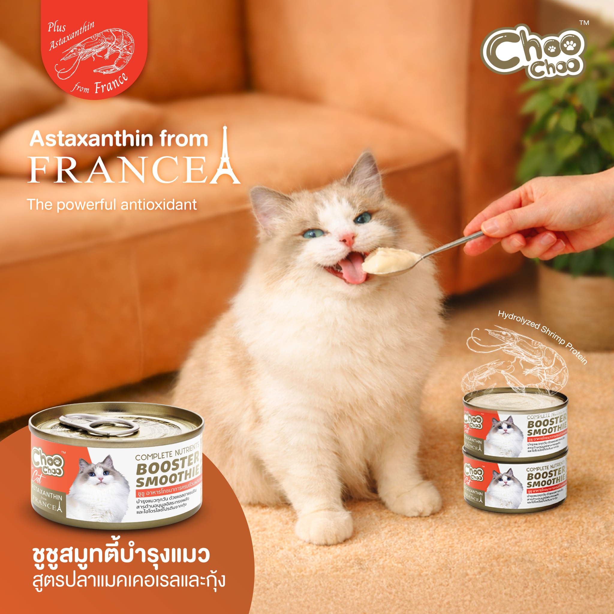 ชูชู เสริมภูมิคุ้มกัน Facebook ad