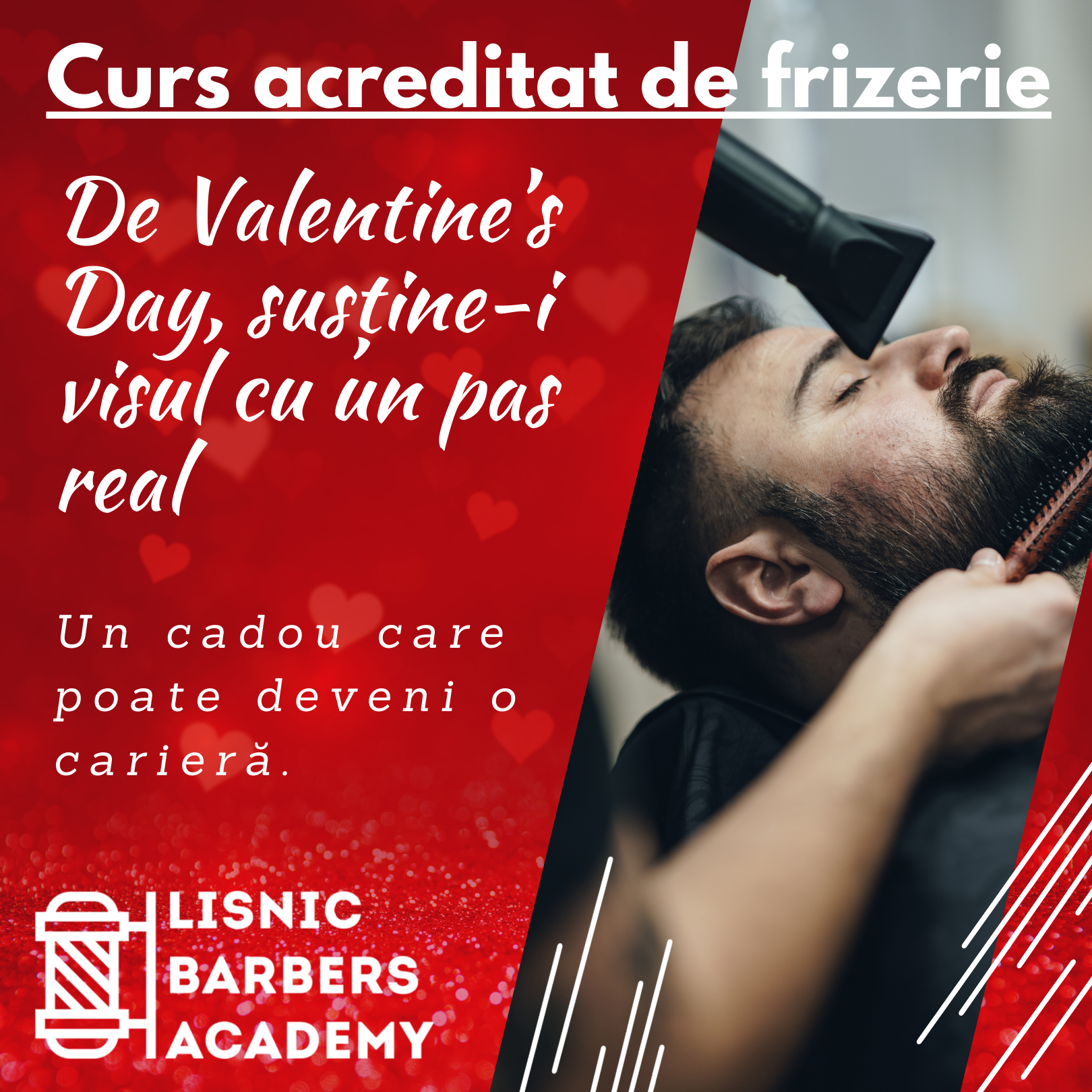 Lisnic Hair Academy Facebook ad