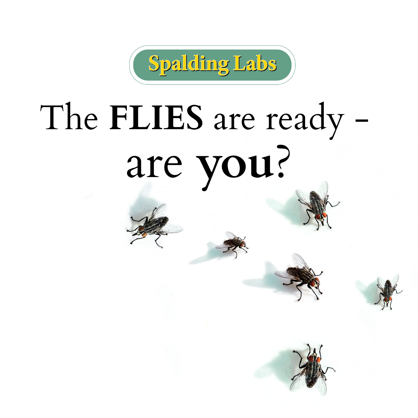 Spalding Labs Facebook ad