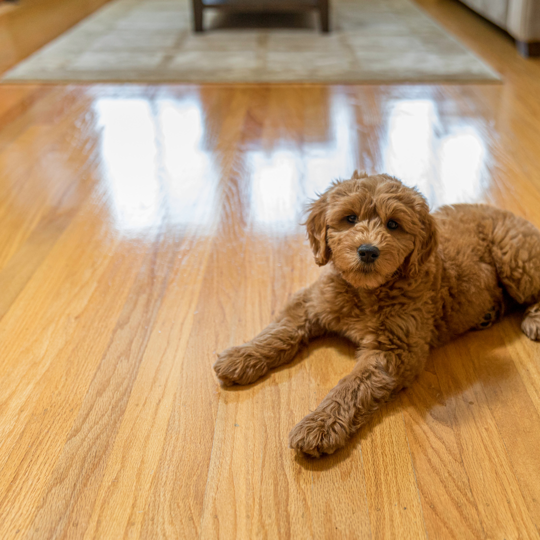 Elite Pro Flooring  Facebook ad