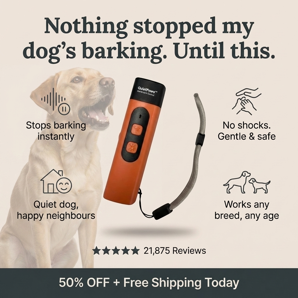 Hunters Doggy Daycare Facebook ad