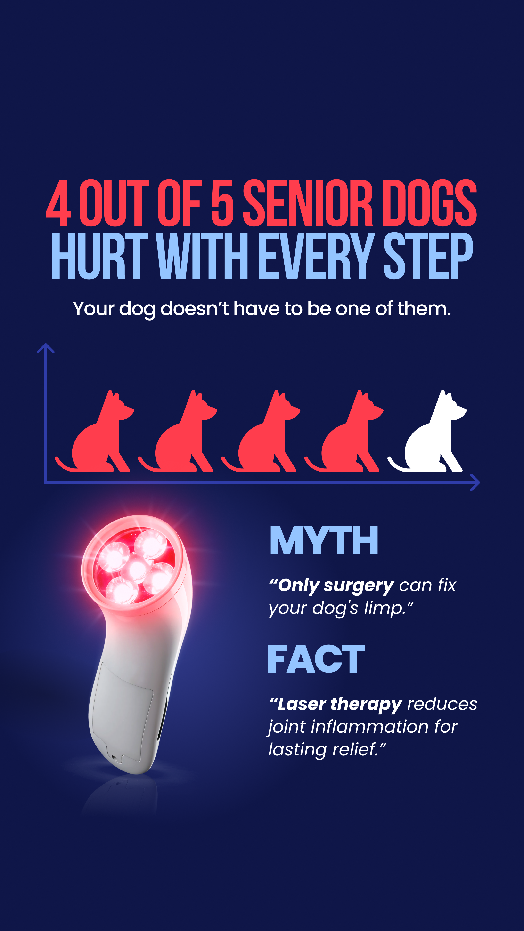 Helio Pet Facebook ad