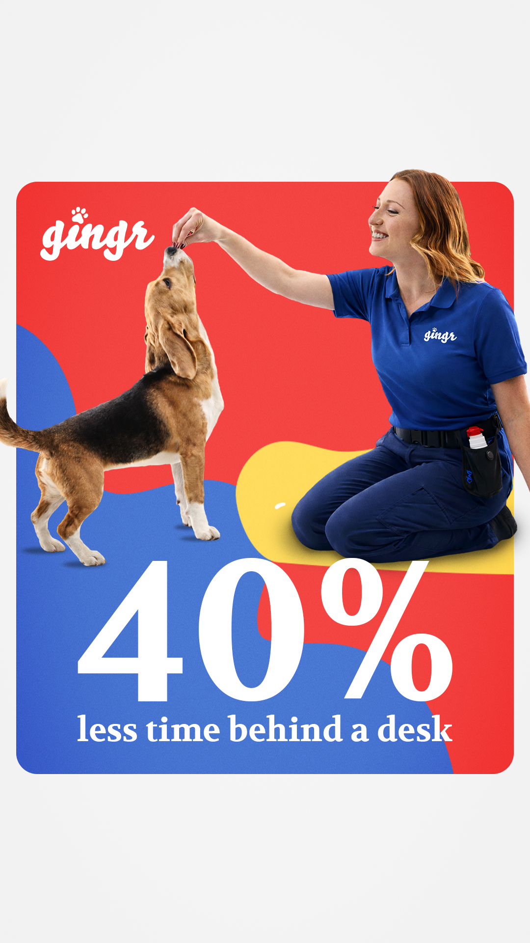 Gingr Facebook ad
