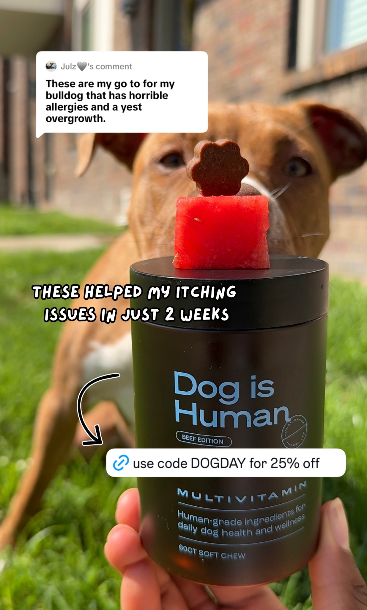 Dog is Human Facebook ad