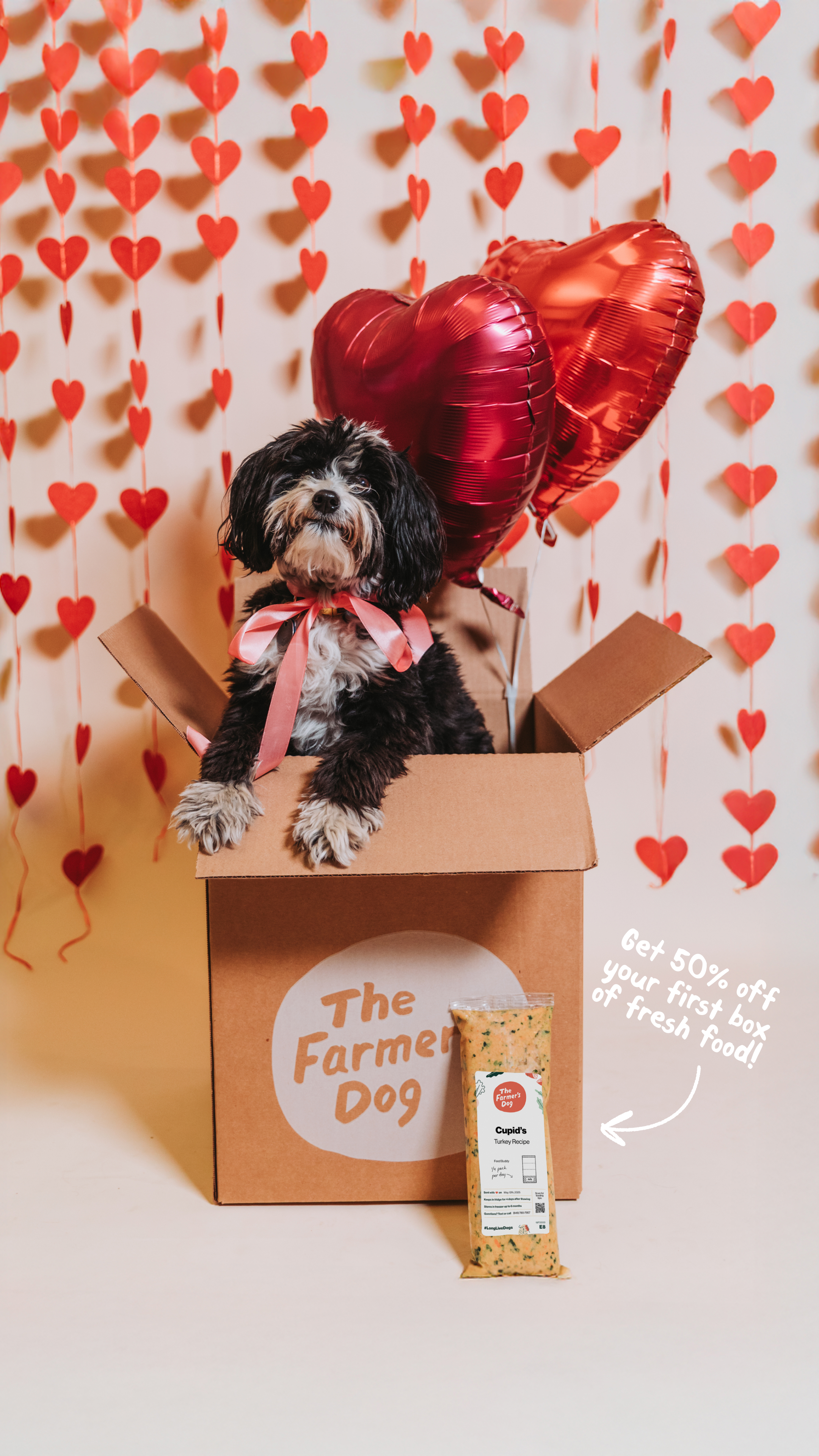 The Farmer's Dog Facebook ad