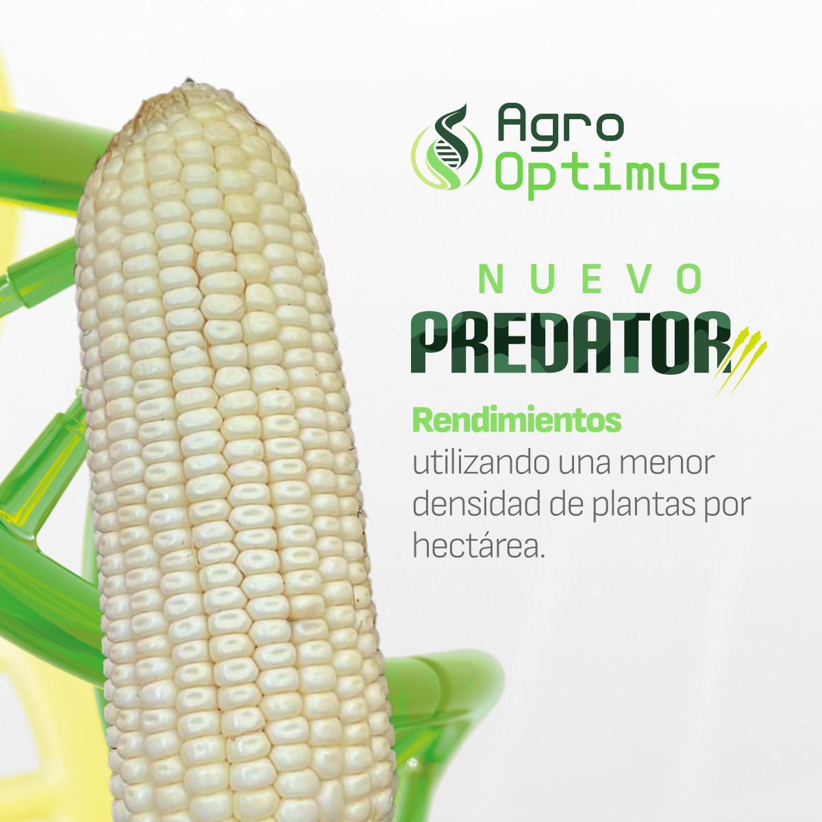 Aspros Semillas Facebook ad