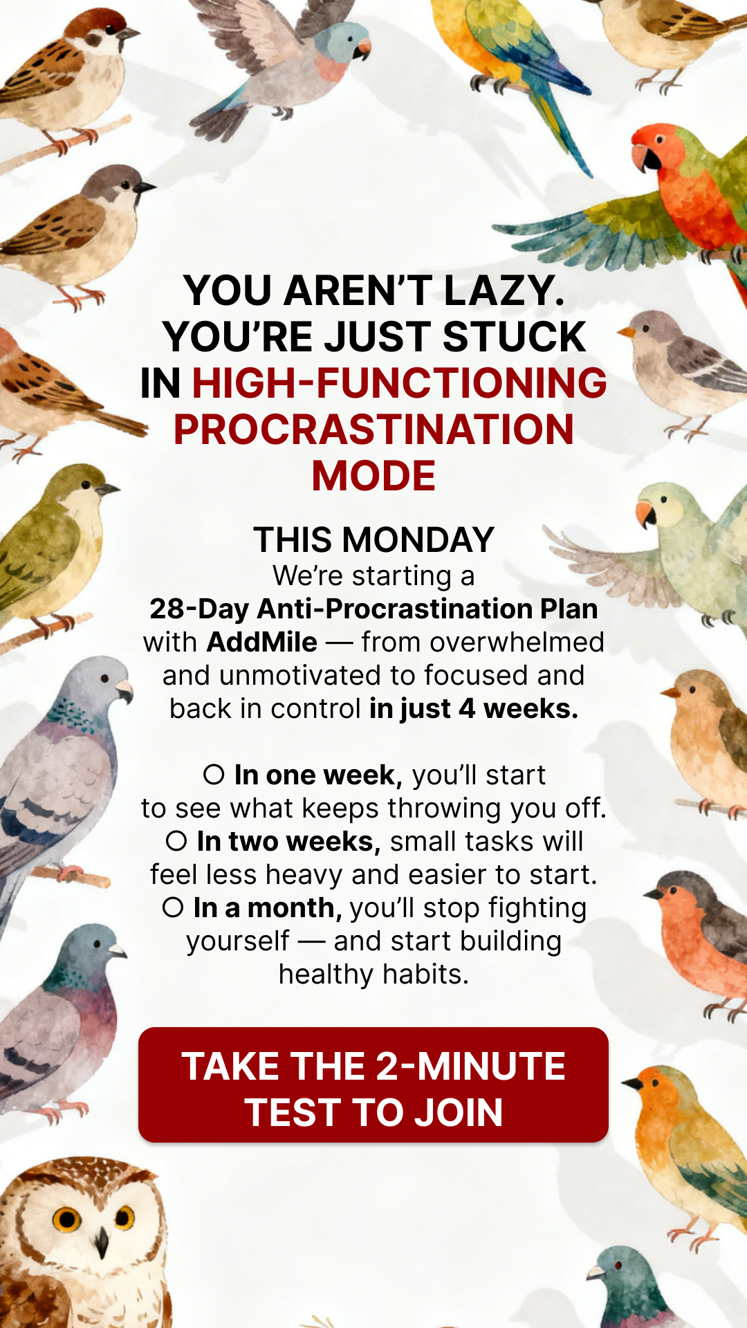 Laura from AddMile Facebook ad: Stop Letting Procrastination Control Your Day