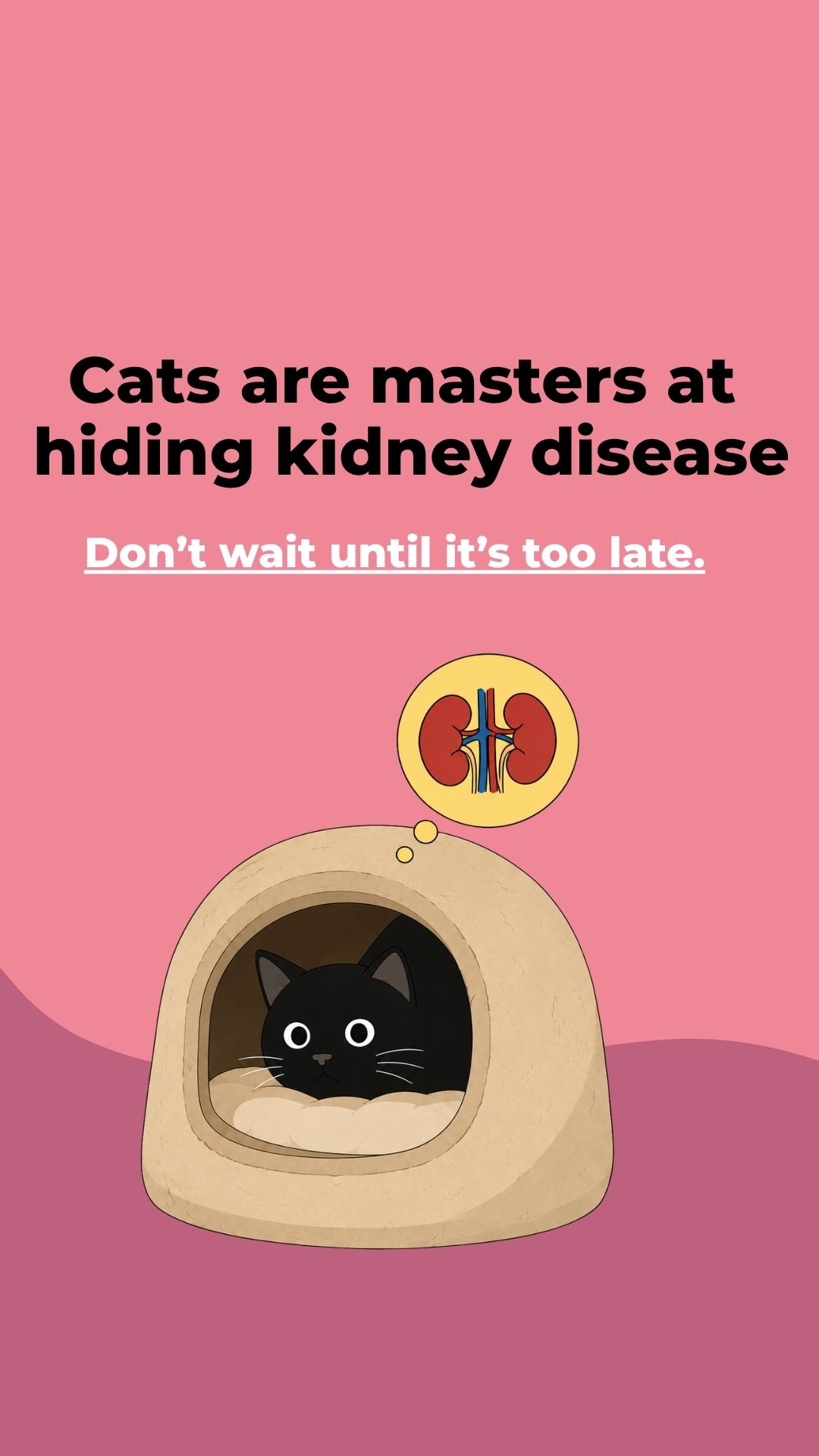 Fureeze Facebook ad: The Senior Cat Symptoms Most Owners Dismiss as Old Age