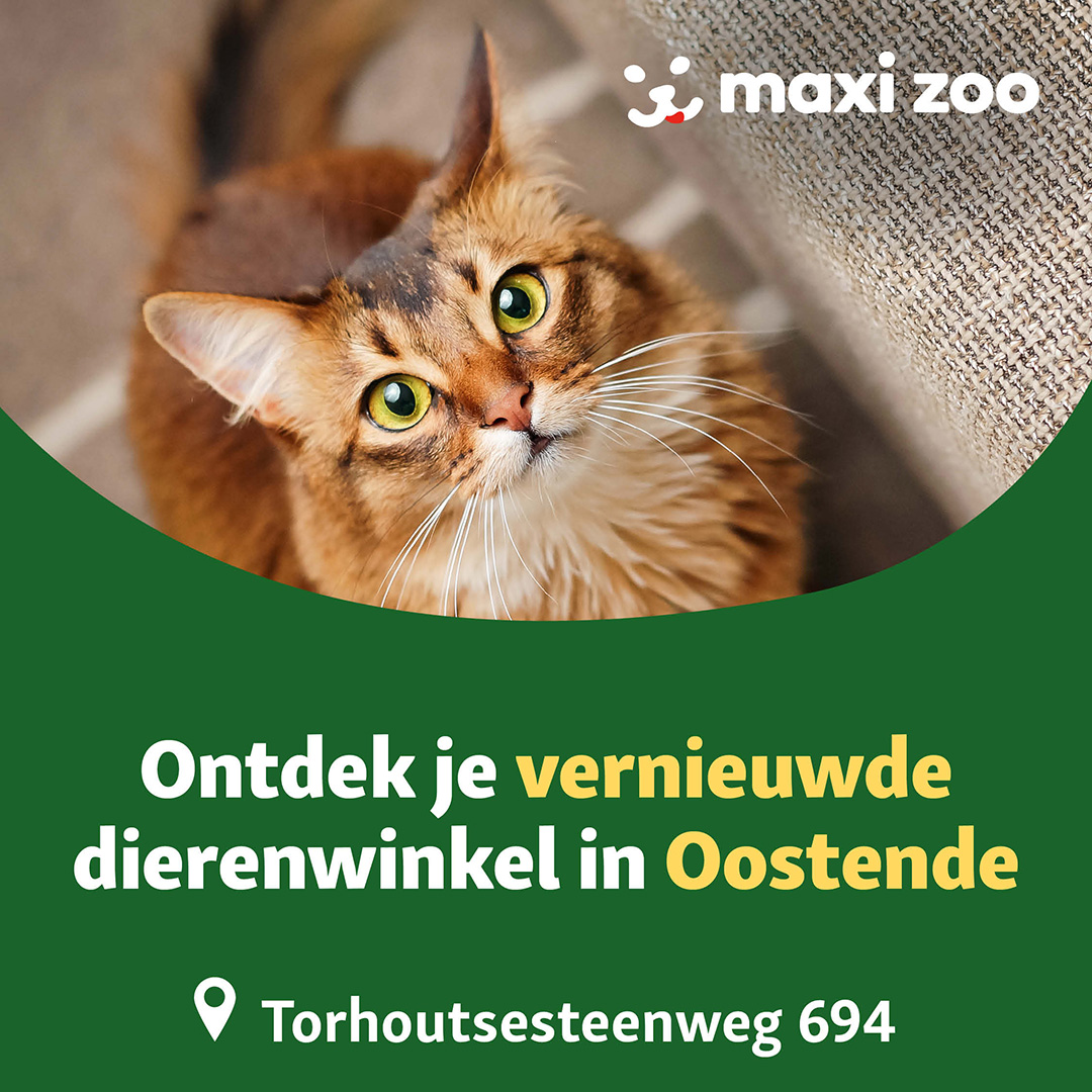 Maxi Zoo Belgium Facebook ad: Maxi Zoo Oostende is volledig vernieuwd met een…