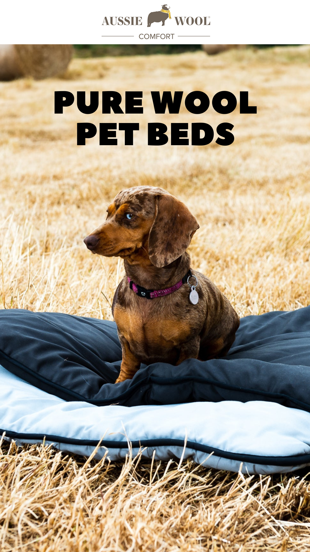 Aussie Wool Comfort Facebook ad